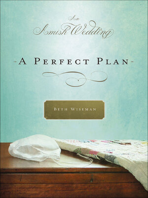 cover image of A Perfect Plan